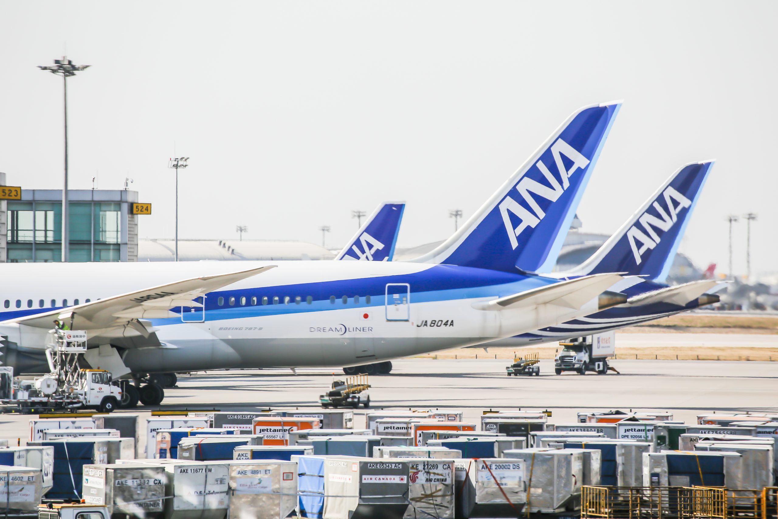 ANA forecasts loss and announces new LCC