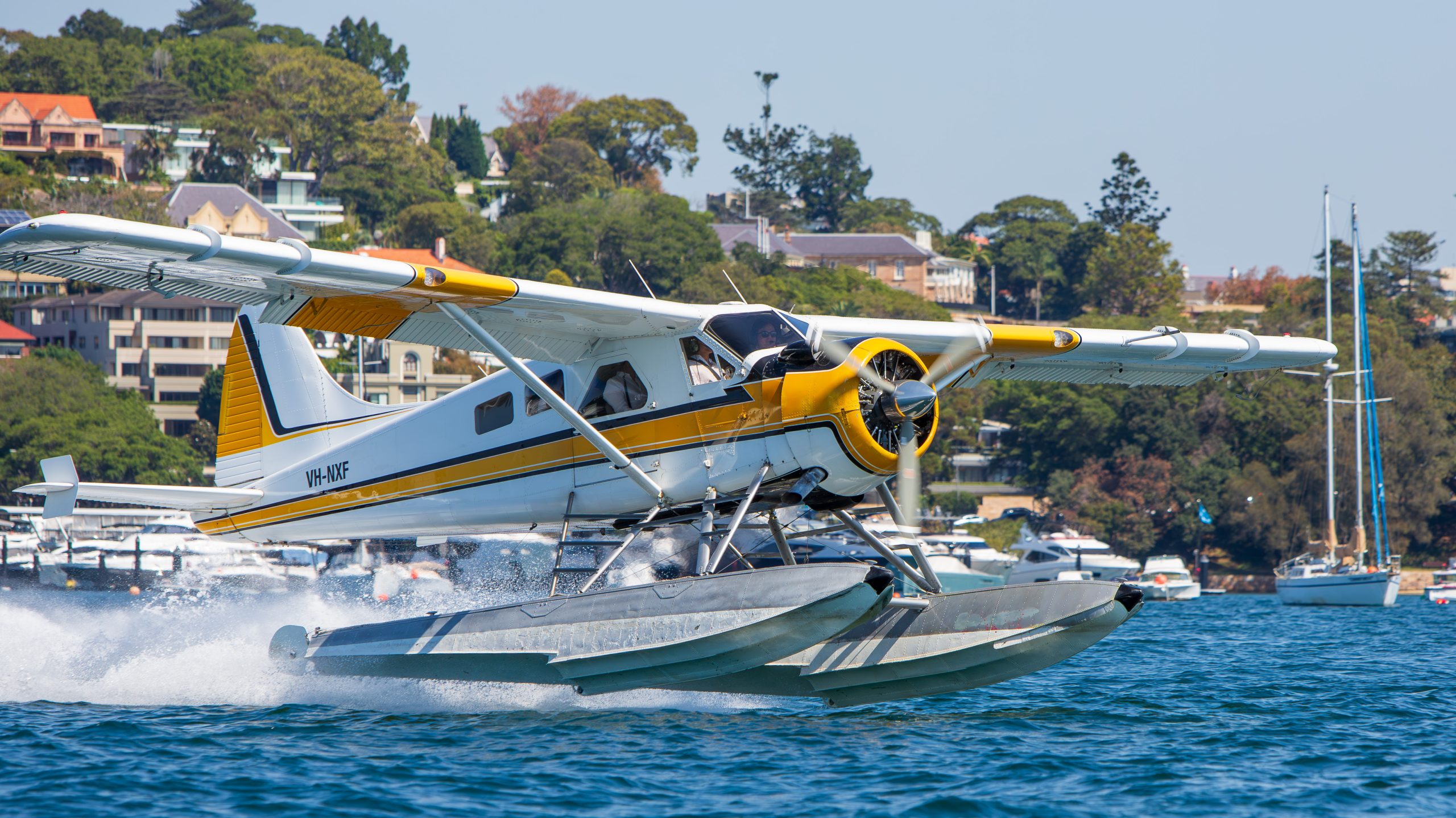 Sydney Seaplanes expands fleet with new Beaver