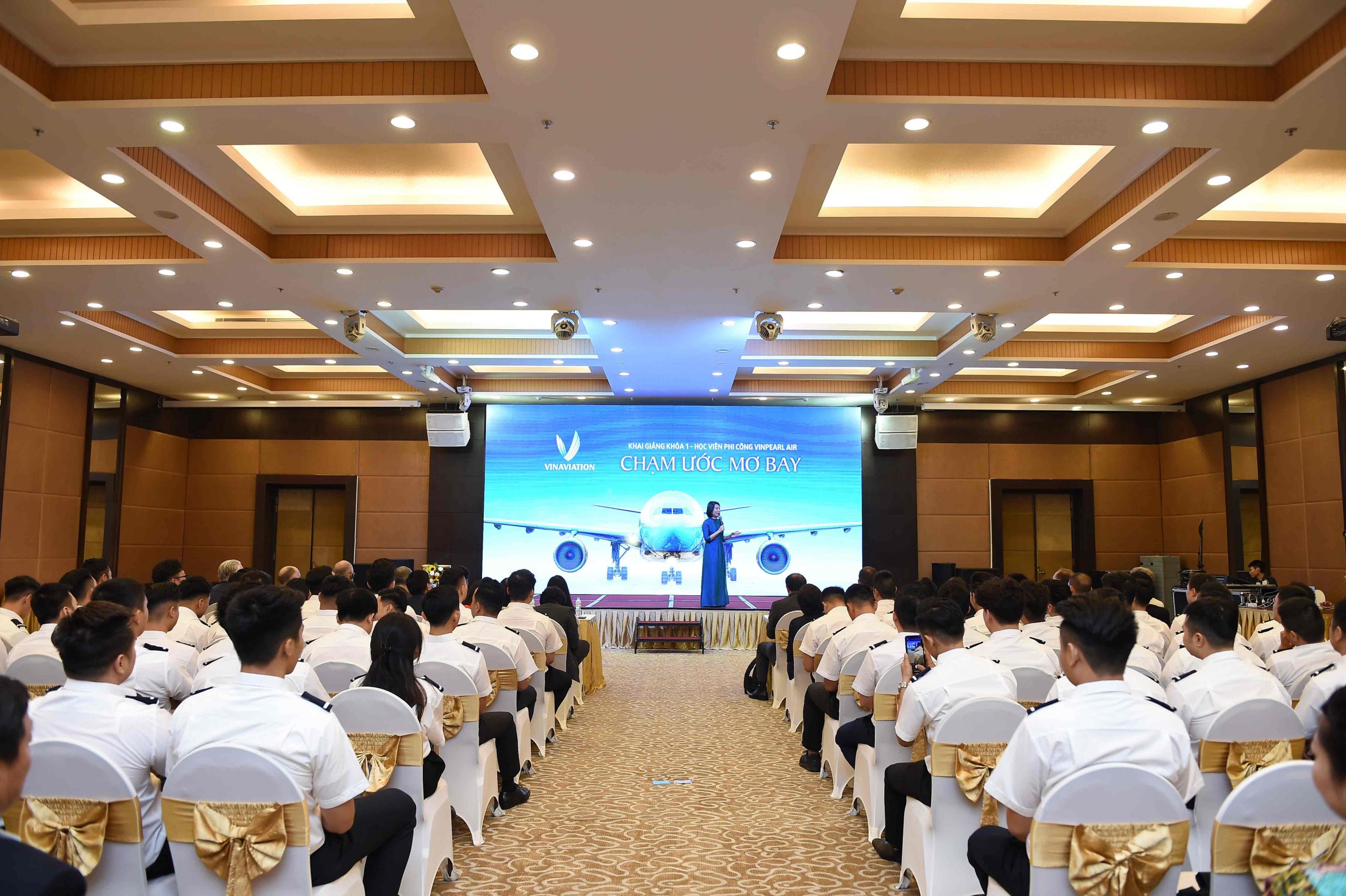 Vingroup cancels plans for new Vietnamese airline