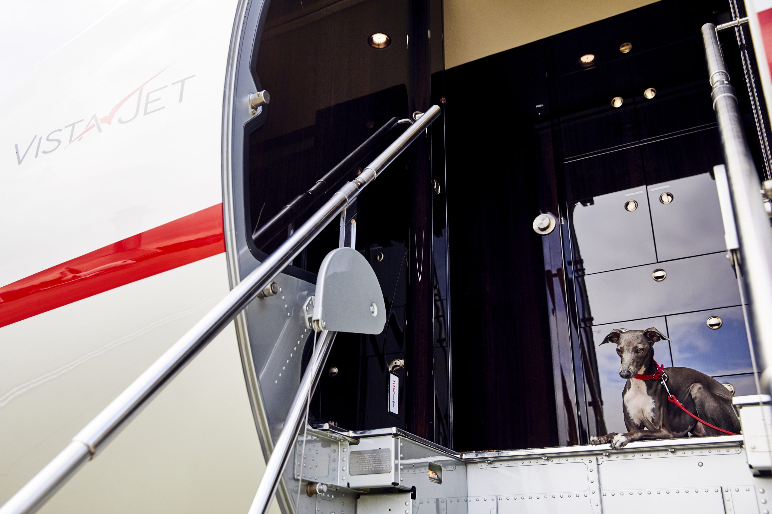 VistaJet is going to the dogs (and cats and birds)