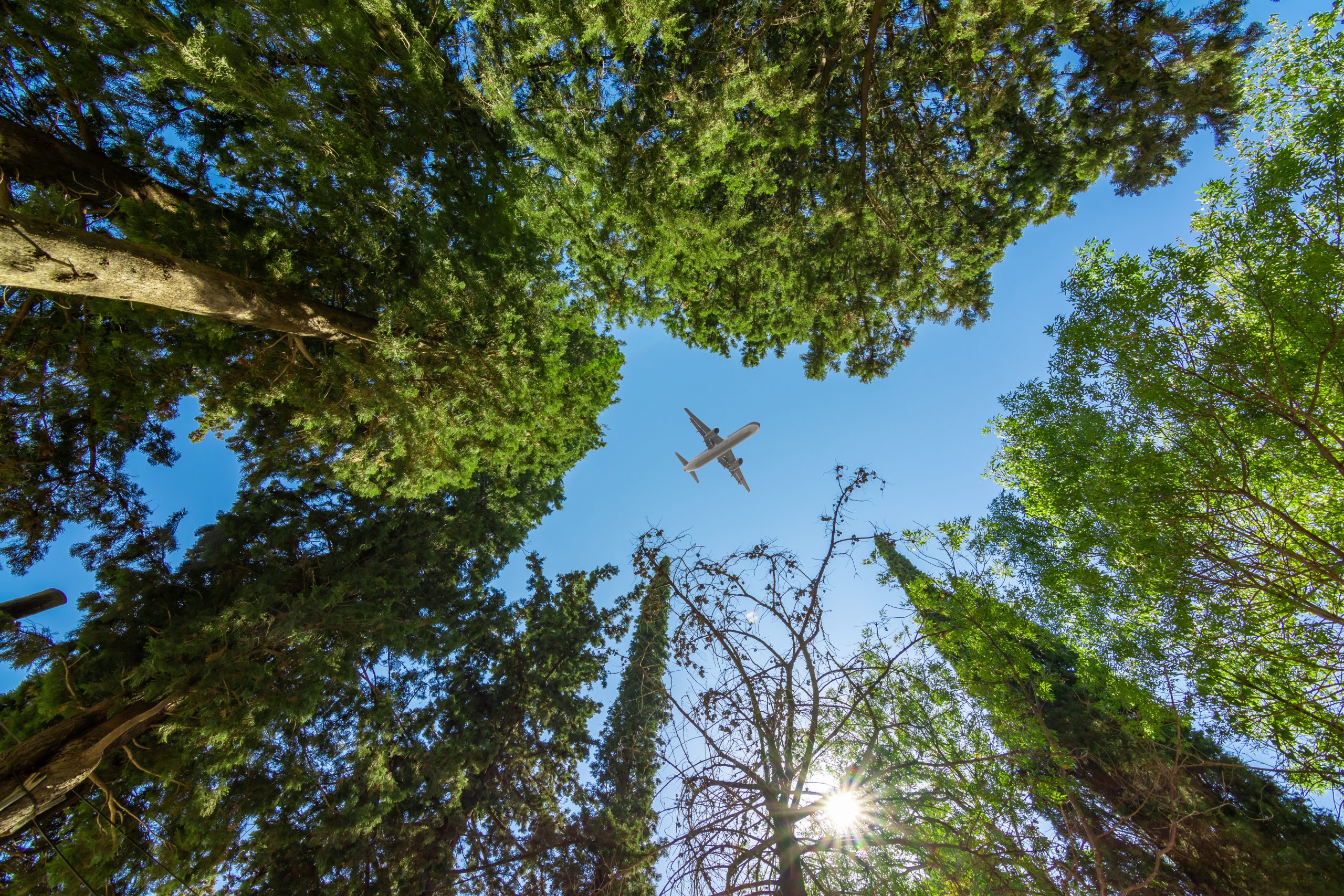 IATA urges release of carbon credits