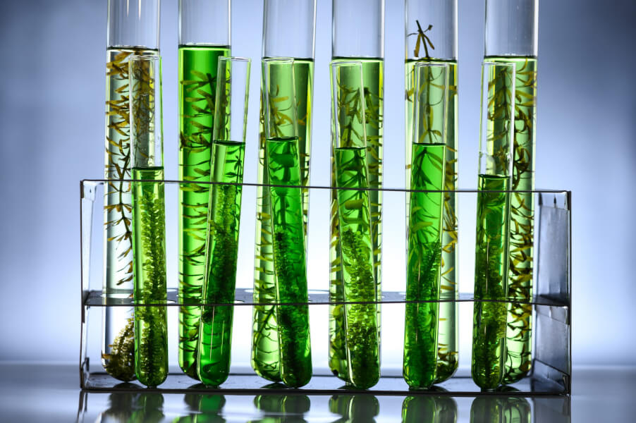Boeing targets 100% sustainable fuel by 2030