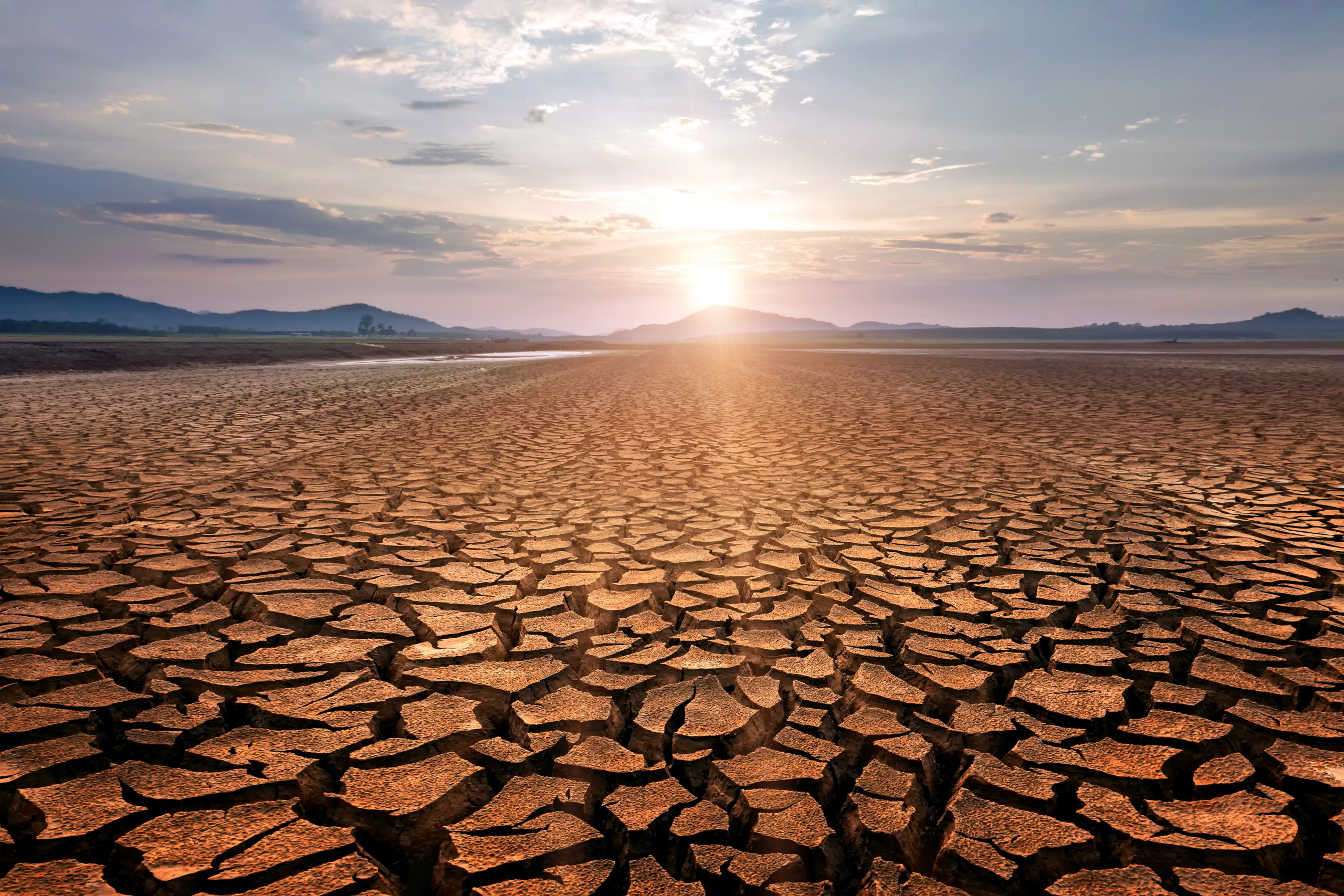 Aviation & Environment Briefs: More needs to be done now, not by 2050