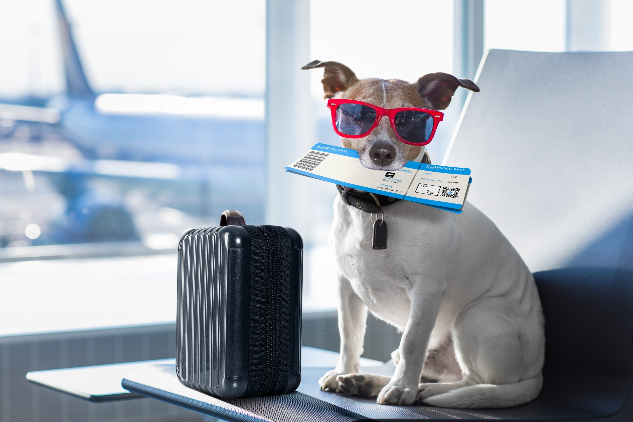 Airline News in Brief 29 July 2026